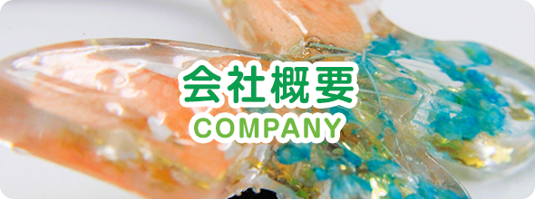 bnrhalf_company_off